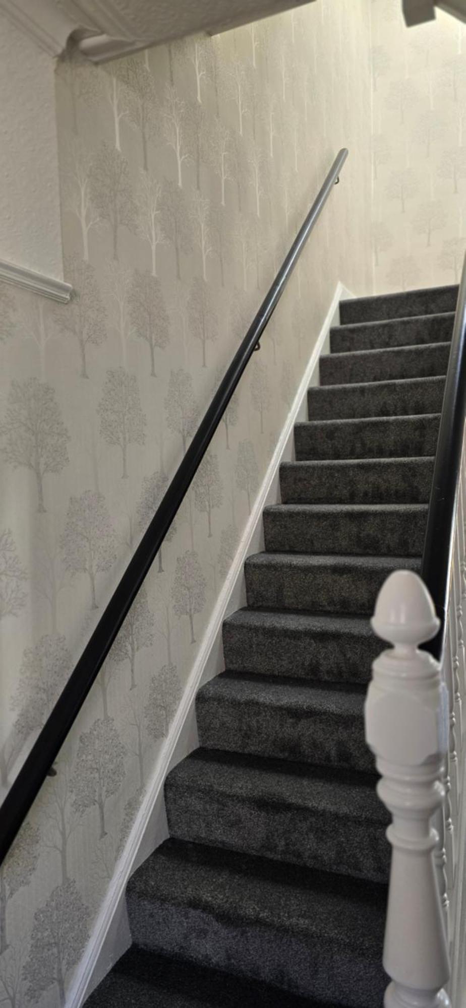 ベルファストAlexandra Park Houseアパートメント エクステリア 写真